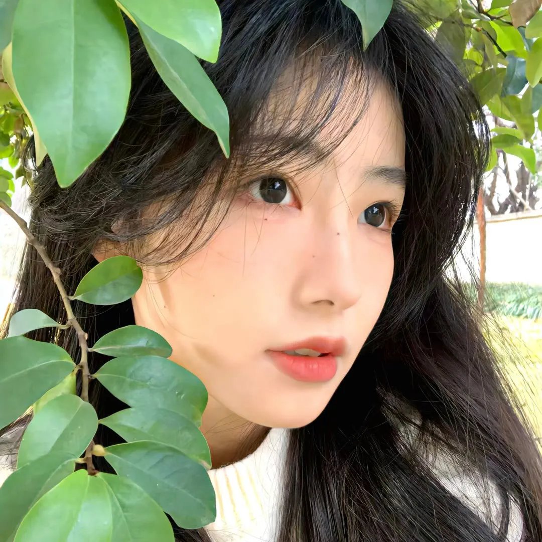 寒夜星暖
